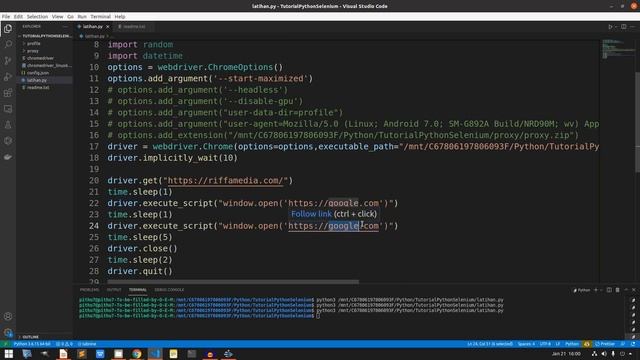 Bikin Bot Web Automation Python Selenium | Window dan Tab | Tutorial Belajar Python Untuk Pemula смотреть онлайн