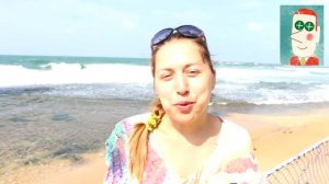 Шри-Ланка: плюсы и минусы!