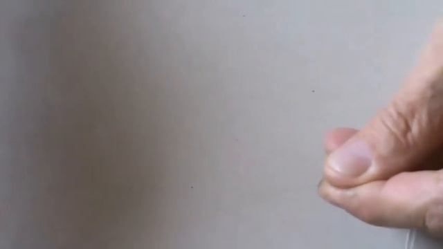 Бенгал де люкс