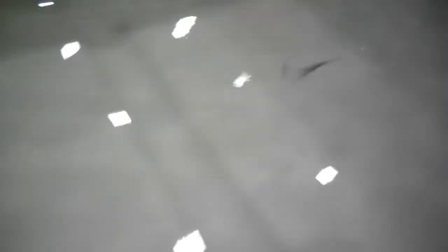 Видео игра #взаброс #колеблющаяся #блесна #КолебалкаПитер #Семеновка смотреть онлайн