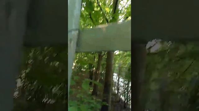 Прогулка по Версалю. Видео 1. Вот он какой, Версаль! смотреть онлайн