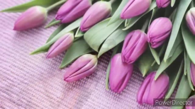 ПОЗДРАВЛЕНИЕ С 8 МАРТА! С 8 МАРТА! Музыкальная открытка с 8 марта. смотреть онлайн