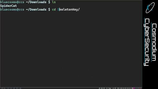 SpiderCat | Windows Reconnaissance Via Obsidian Webhooks смотреть онлайн