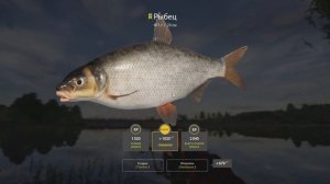 Трофейный Рыбец! • Какой Прикорм? • Как ловить? • Фидерная ловля • Р. Волхов • Русская Рыбалка 4 #5