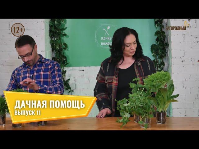 Дачная помощь // Выпуск 11 смотреть онлайн