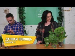 Дачная помощь // Выпуск 11