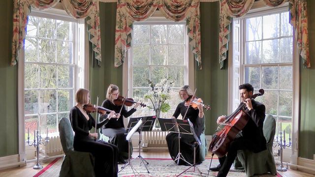 Beethoven's 5 Secrets (The Piano Guys) Wedding String Quartet
