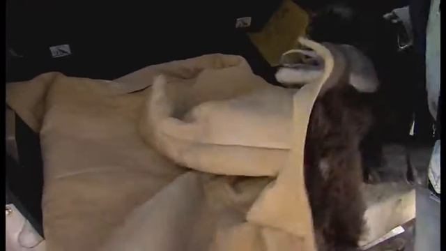 Полезные советы. Что должно лежать в багажнике авто смотреть онлайн