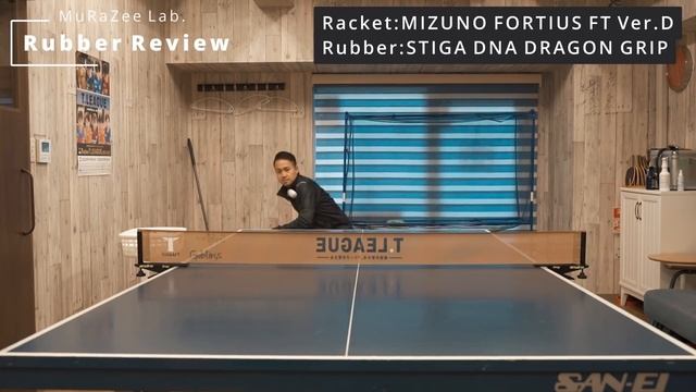 久しぶりの試打おじさん【STIGA DNA DRAGON GRIP】 смотреть онлайн