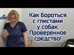 Глисты у собак и кошек. Как бороться с глистами.