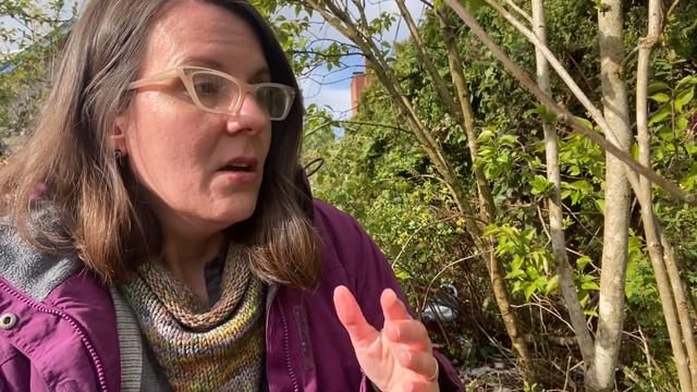 Why Does My Lilac Look Scorched? Diagnosing and Treating Lilac Blight смотреть онлайн