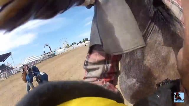 The Wild Race смотреть онлайн