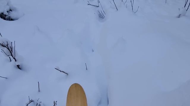 Охота с подхода. Баня. Тайне скоро щенится смотреть онлайн