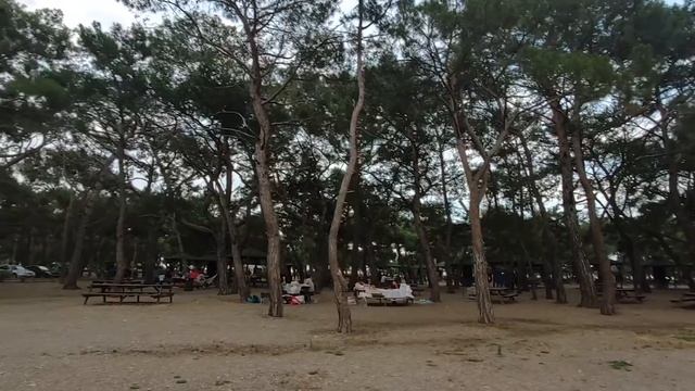 НА ПЛЯЖ В МАСКАХ - ИЗМЕРЯЮТ ТЕМПЕРАТУРУ В АНТАЛИИ ПЛЯЖ САРЫСУ / Отдых в Турции 2020/ Лучший пикник смотреть онлайн