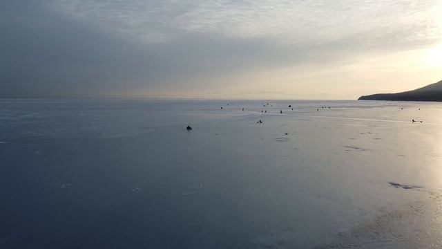 Куча рыбы. Ловля наваги на креветку. Ice fishing. Fishing 2021 смотреть онлайн