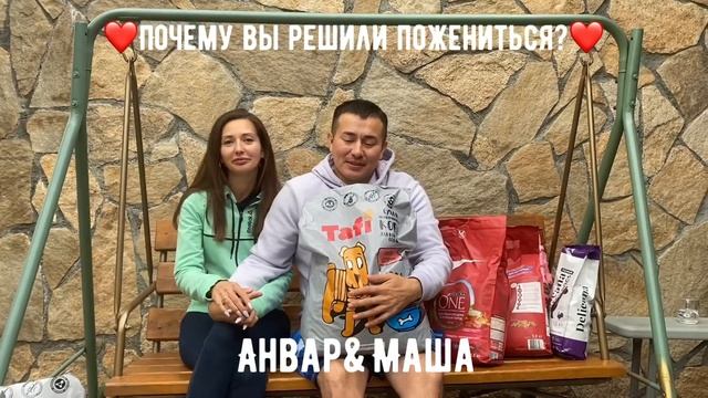 Подарок молодоженам на свадьбу - корм для собак