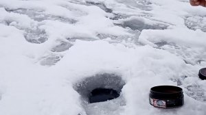 Ловля окуня, на мормышку. На озере Усмынское!