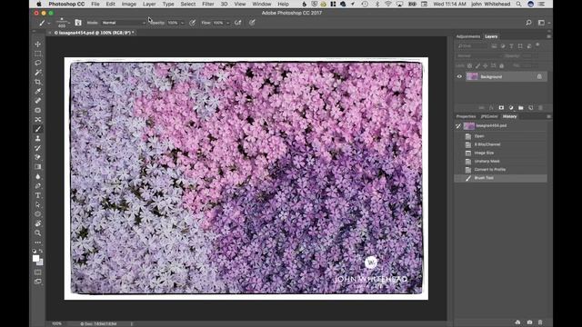 Using JpegMini to resize images for a Website смотреть онлайн