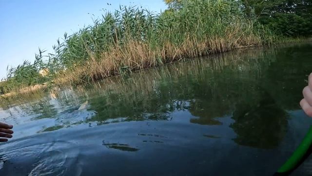 Речной Карась в Заливе Днепра на Поплавки из Пера. Утренняя рыбалка смотреть онлайн