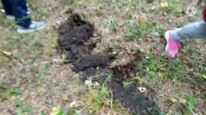 Металлокоп. Коп с ТХ-850. Лесные артефакты. Вот что нашли!!