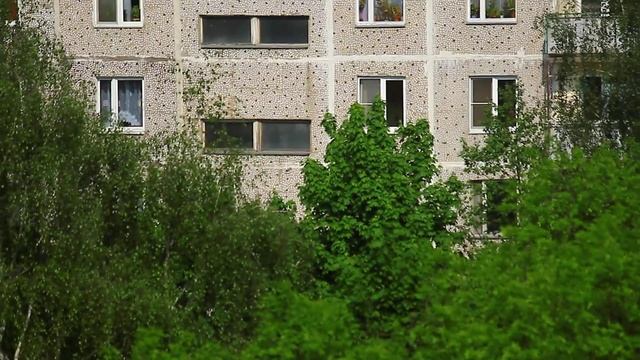 Canon EOS 550D video fullHD full color/contrast/sharping смотреть онлайн