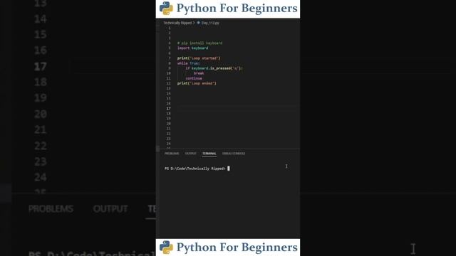 Get Keyboard Inputs With Python | Python For Beginners смотреть онлайн