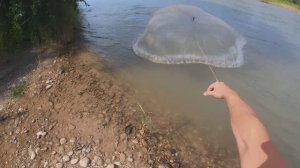 Рыбалка Кастинговой сетью!!! р. Лаба и другие секретные места!!!