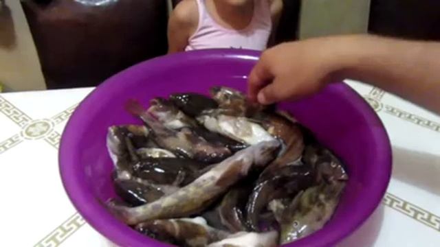 Отличный улов!Черноморские бычки и камбала. смотреть онлайн