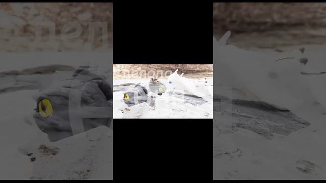 Как приручить дракона 1 ( продолжение следует) смотреть онлайн