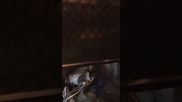 Bosch dishwasher mouse or mice nesting with insulation problem: how to fix смотреть онлайн