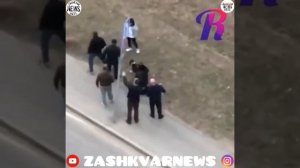 Бешеная собака покусала ребёнка