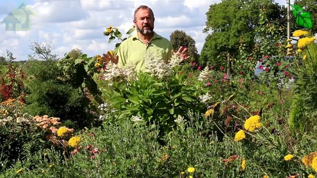 ПРИ ТАКОЙ ПОСАДКЕ ВСЕ САЖЕНЦЫ ПРИЖИВУТСЯ! Как правильно высадить саженец по БЕЗНАВОЗНОЙ технологии.