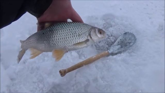 Зимняя рыбалка на Мостовом смотреть онлайн