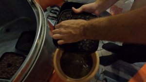 Чистка Аквариума. Чистка фильтра Aquael Ultra Filter 1400. Обзор нового освещения. Новые рыбки.