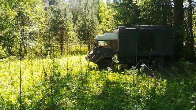 ПИНСГАУЭР ПУХ