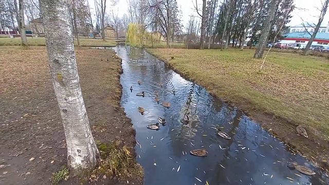 ПРОГУЛКА по парку! Город Опочка #парк #прогулка #город смотреть онлайн