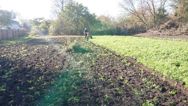 Батя пробует пахать мотоблоком Салют 100 смотреть онлайн