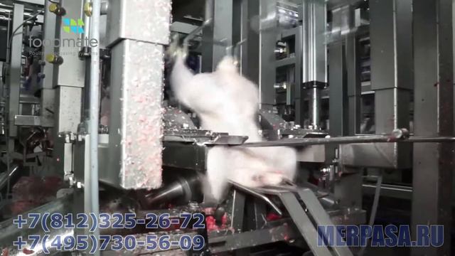 Автоматическая линия убоя и разделки птицы FLEX Foodmate смотреть онлайн