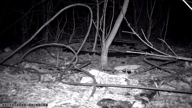 5 минут у кормушки... смотреть онлайн