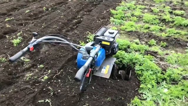 Мотоблок MasterYard 6,5