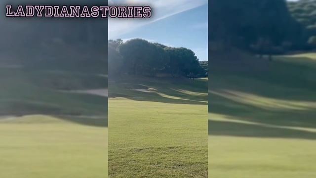 Кирилл моющик машины | Юнона и Диана гуляют с собаками | Lady Diana Stories смотреть онлайн