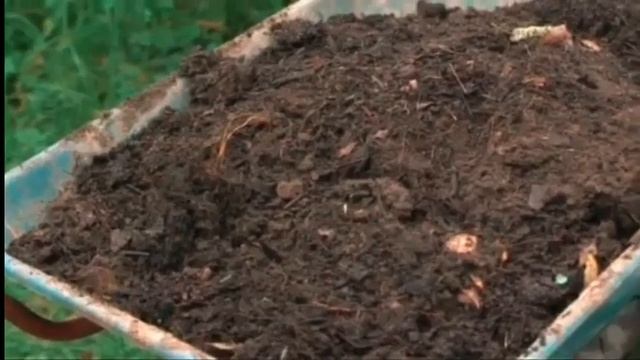 Как правильно посадить яблоню и грушу (ч.1) смотреть онлайн