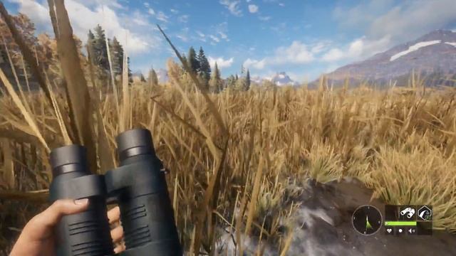 На охоту с блочным луком. The Hunter Call of the Wild смотреть онлайн