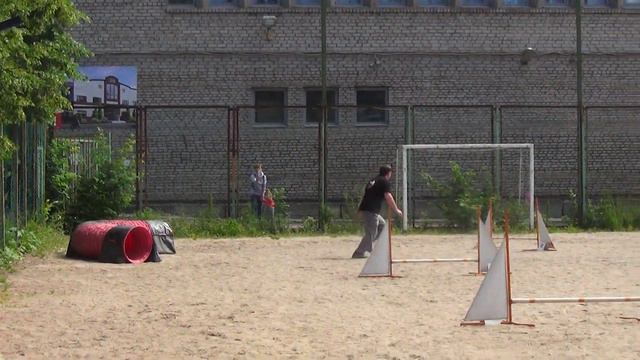 2_Small Арчибасов Сергей керн терьер ЕГО ВЕЛИЧЕСТВО ВИКЕНТИЙ С НЕВСКОГО БЕРЕГА смотреть онлайн