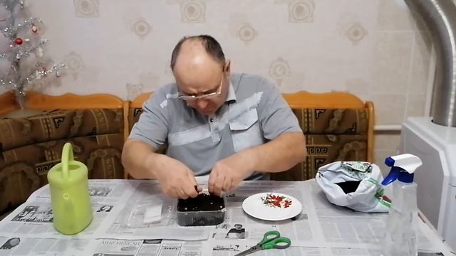 Газания из собственных семян смотреть онлайн