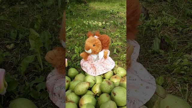 а мы пьяные счастливые потому что это наши чувства белки и груши смотреть онлайн