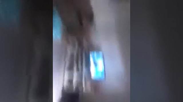 Bia para meninas mostrando banheiro sala e cozinha смотреть онлайн