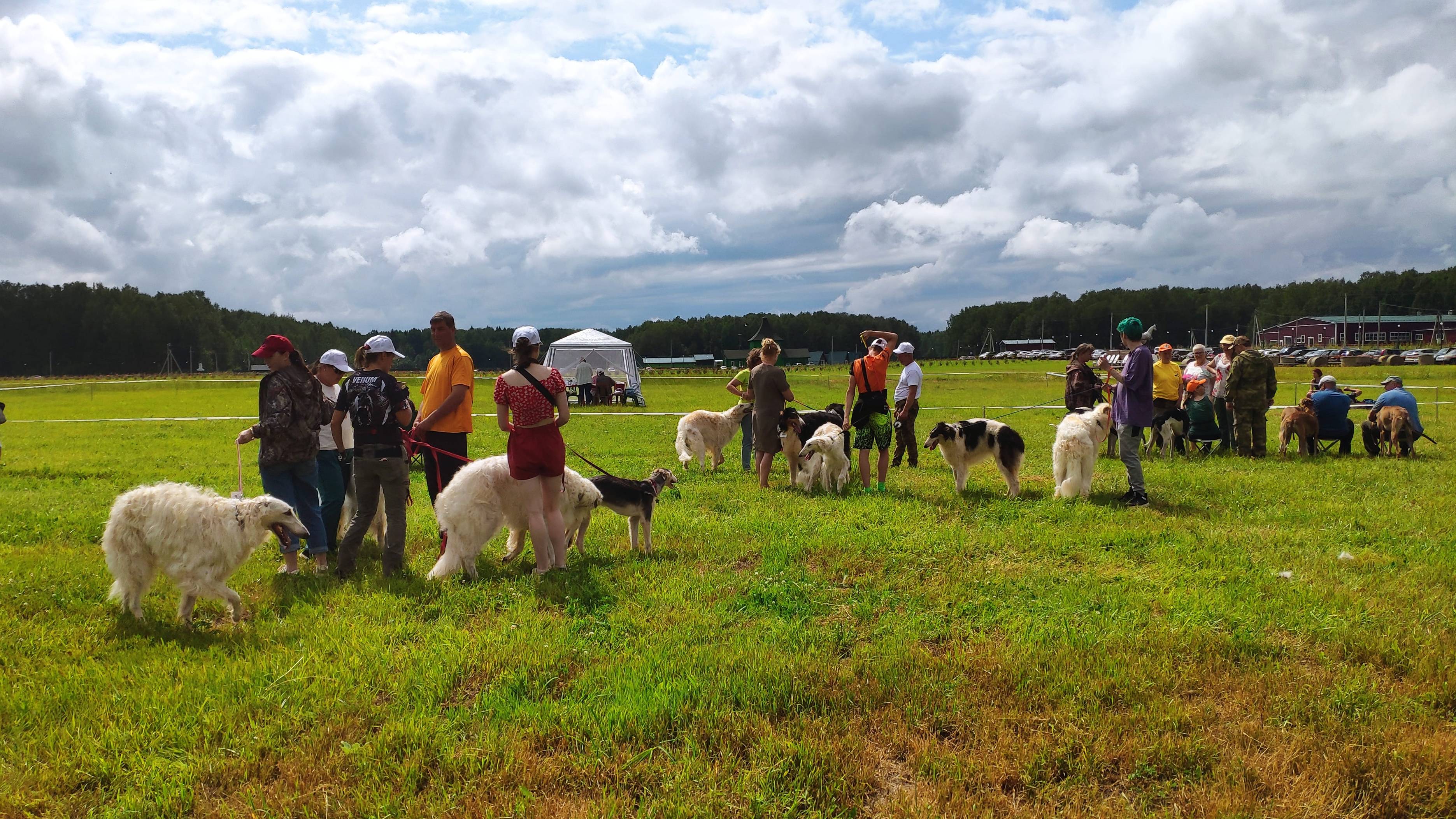Всероссийская выставка собак гончих пород 6 июля 2024 г