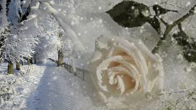 За окном моим снова снег...Музыка Сергей Чекалин! смотреть онлайн
