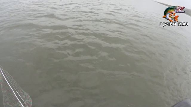 КЛАССНЫЙ УЛОВ ЩУКИ ТРОЛЛИНГОМ в Молчаново, на Оби (23.09.2019) смотреть онлайн